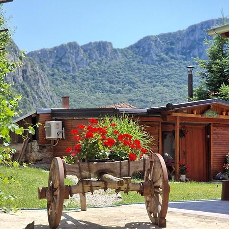 Konak -Guest House -Ramonda Serbika Ni Екстериор снимка