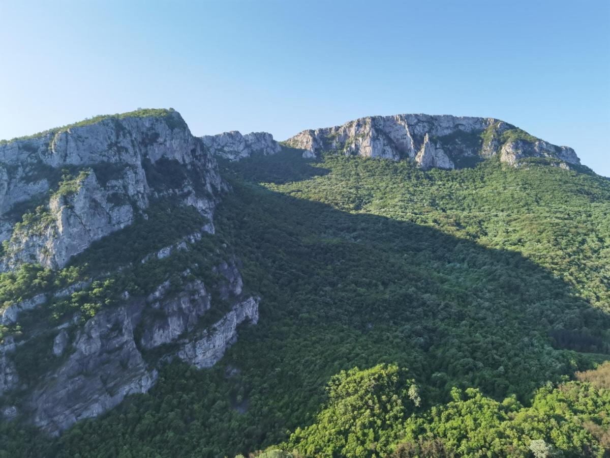 Konak -Guest House -Ramonda Serbika Ni Екстериор снимка